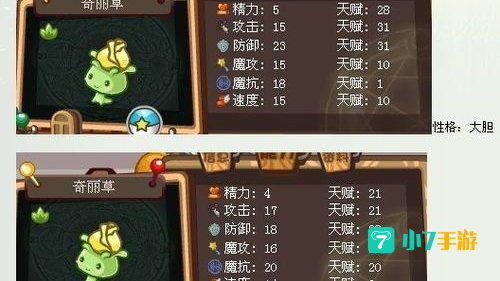 奇丽草