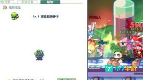 彩虹岛家族植物