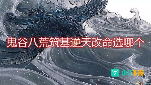 鬼谷八荒筑基逆天改命